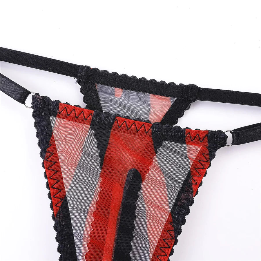 Scarlet Wild Mesh Lingerie Set – Zebra Print with Garter Details